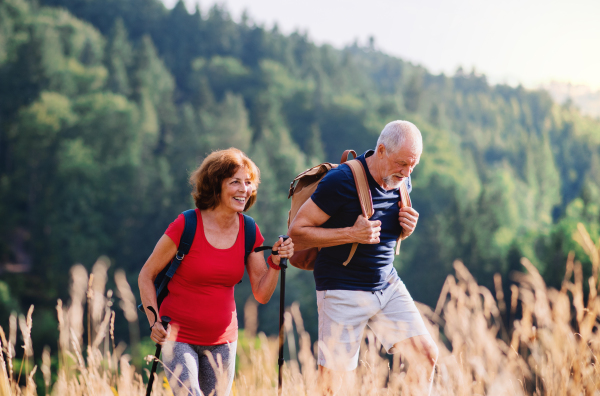 A senior tourist couple travellers hiking in nature, walking and talking.