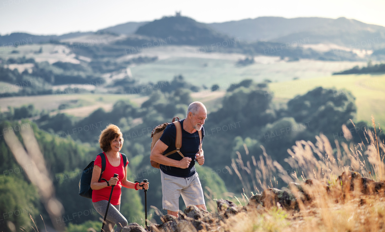 A senior tourist couple travellers hiking in nature, walking.