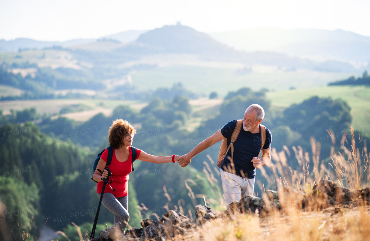 A senior tourist couple with backpacks hiking in nature at sunset, holding hands.