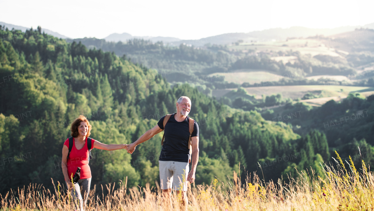 A senior tourist couple travellers hiking in nature, holding hands.