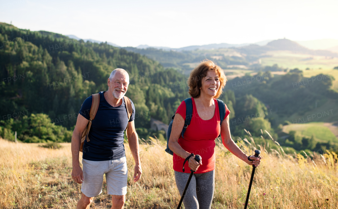 A senior tourist couple travellers hiking in nature, walking.