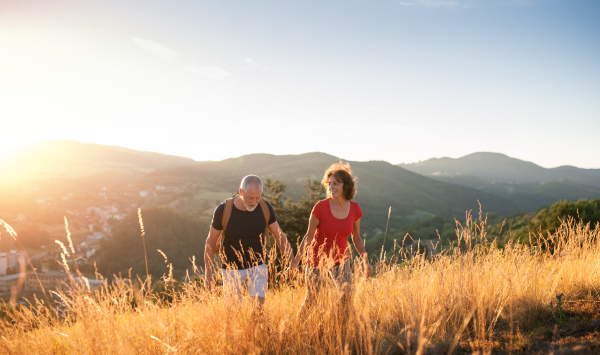 A senior tourist couple travellers hiking in nature at sunset, holding hands.