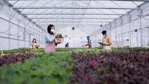 Large group of people working in garden centre.