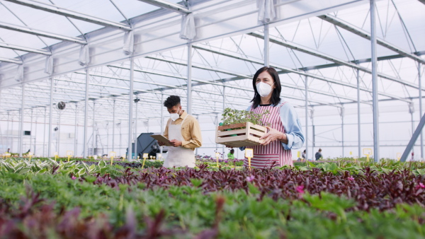 Large group of people working in garden centre.