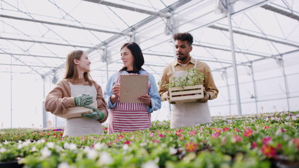 A group of people working in garden centre