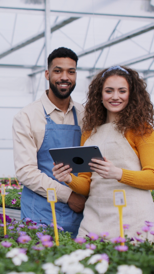 Young colleagues with tablet working in garden centre, looking at camera. Vertical video.