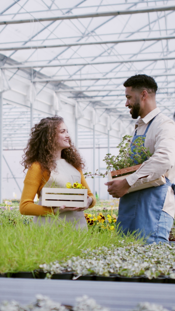 Young colleagues working in garden centre and talking, looking at camera. Vertical video.