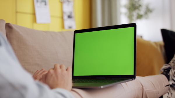 A rear view of teenager sitting on sofa, using laptop with green screen. Social networks concept.