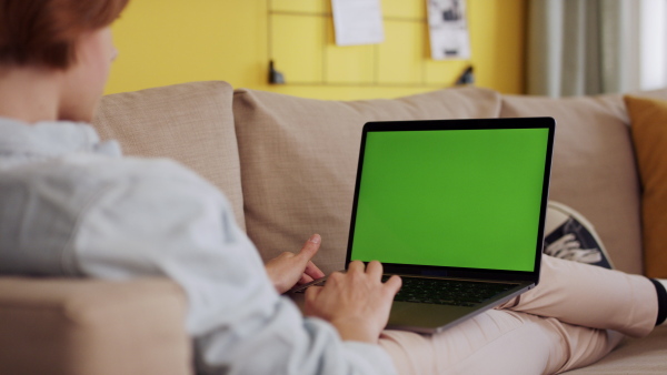 A rear view of teenager sitting on sofa, using laptop with green screen. Social networks concept.