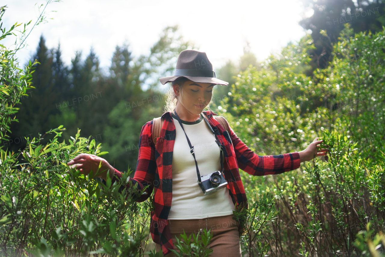 Front view of young woman with camera on a walk in forest in summer nature, walking.