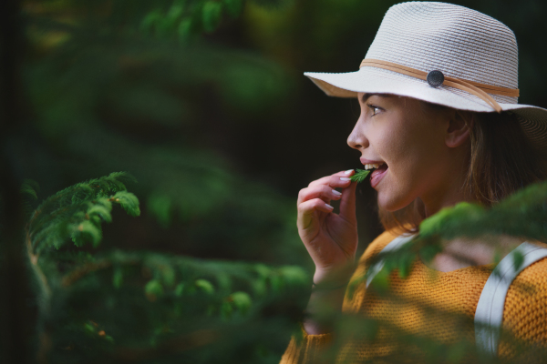 Side view of young woman on a walk outdoors in forest in summer nature, eating spruce shoots.