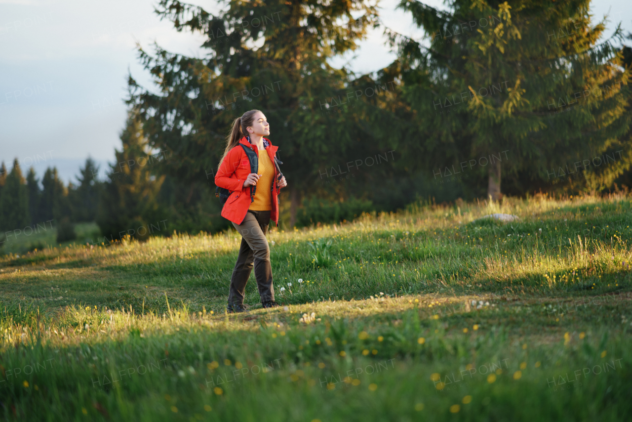 Side view of young woman on a walk outdoors on meadow in summer nature, walking.