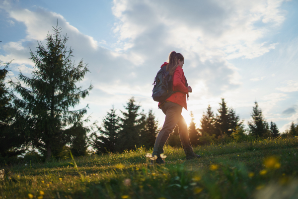 Rear view of young woman on a walk outdoors on meadow in summer nature, walking.