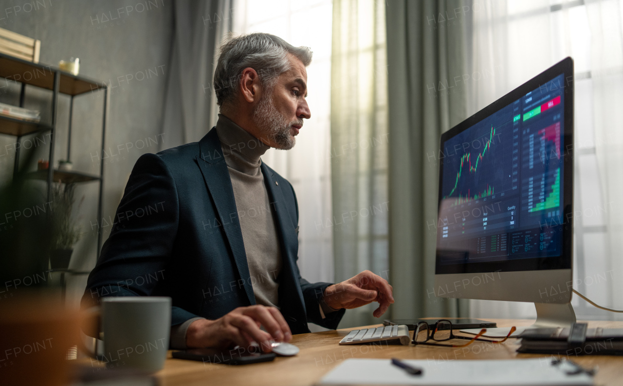 Mature businessman working on computer indoors in office.