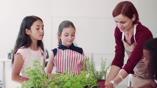 A group of small happy school kids with teacher standing in circle in class, planting herbs. Slow motion.