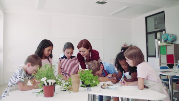 A group of small school kids with teacher standing around table in class, planting herbs.