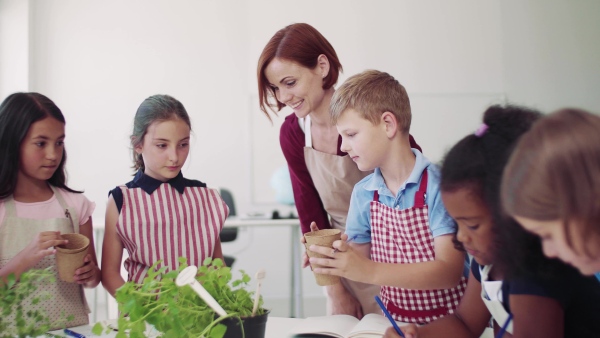 A group of small school kids with teacher standing around table in class, planting herbs.