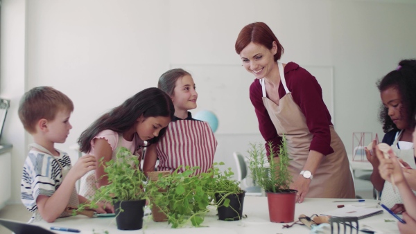 A group of small happy school kids with teacher standing around desk in class, planting herbs.