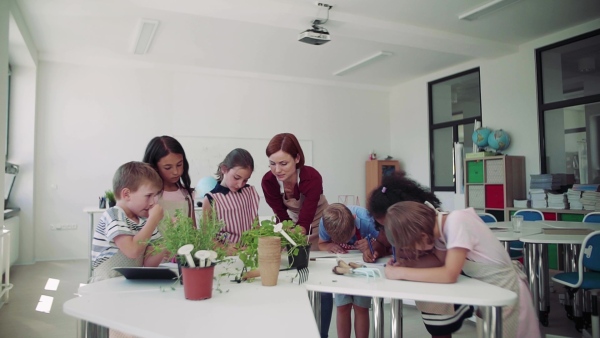 A group of small school kids with teacher standing around table in class, planting herbs. Slow motion.