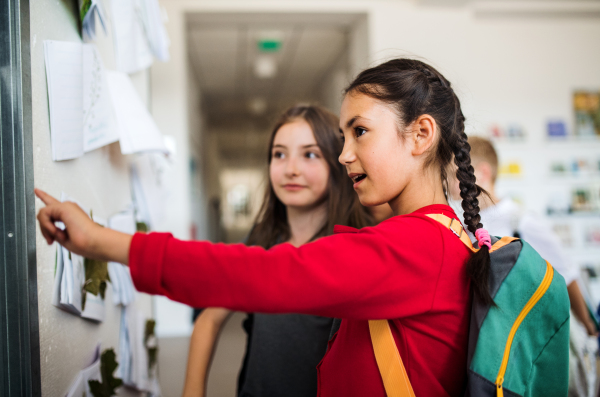 Two cheerful small school girl friends with bags standing in corridor and looking at notice board. Back to school concept.