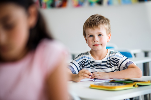 A small happy school boy sitting at the desk in classroom, looking at camera.