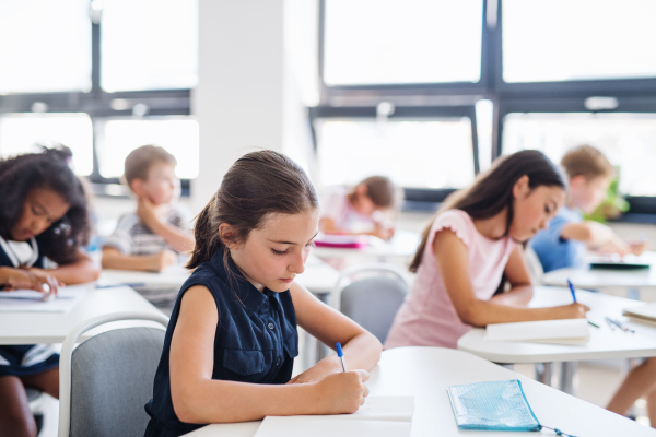 Concentrated small school children sitting at the desk on lesson in classroom, writing.