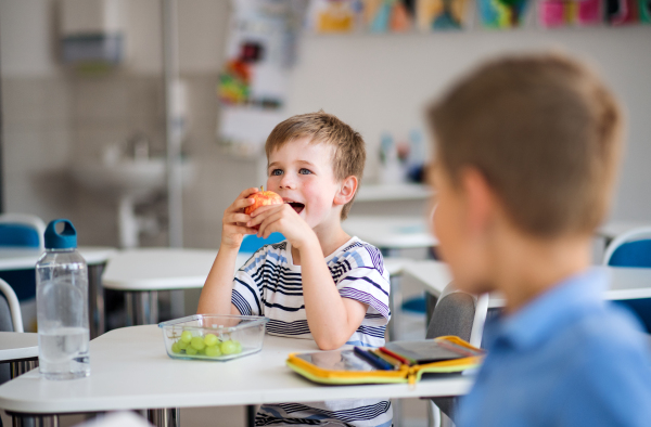 Small school children sitting at the desk in classroom, eating fruit for snack.