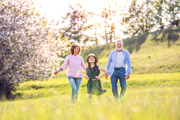 Senior couple with granddaughter outside in spring nature, laughing. Copy space.