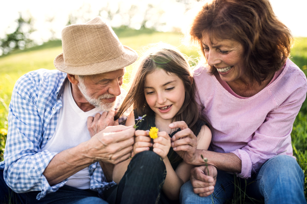 Senior couple with granddaughter outside in spring nature, sitting on the grass, looking at a flower. Close up.