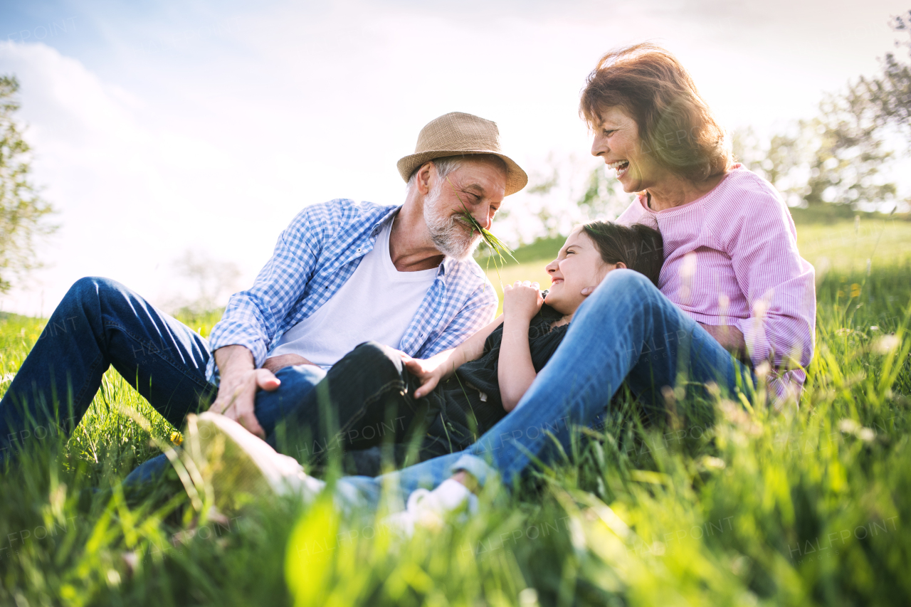 Senior couple with granddaughter outside in spring nature, relaxing on the grass and having fun.