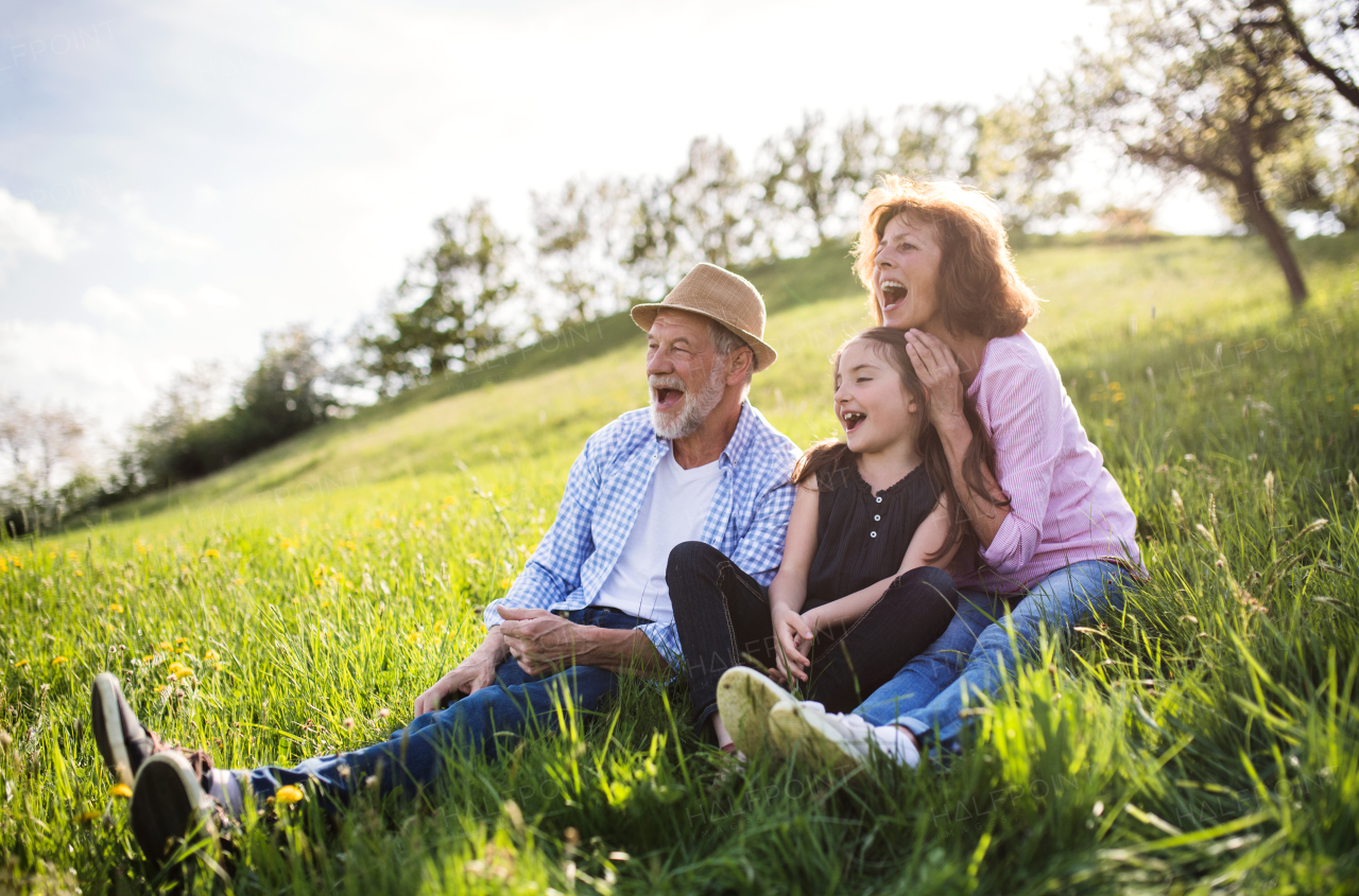 Senior couple with granddaughter outside in spring nature, relaxing on the grass and having fun.