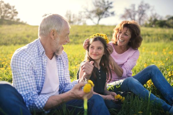 A senior couple with granddaughter outside in spring nature, making a dandelion wreath.