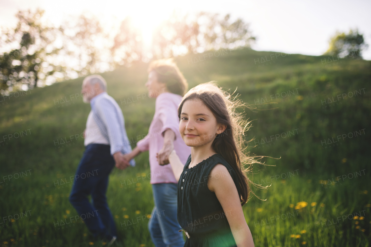 Cheerful senior couple with granddaughter outside in spring nature, walking.