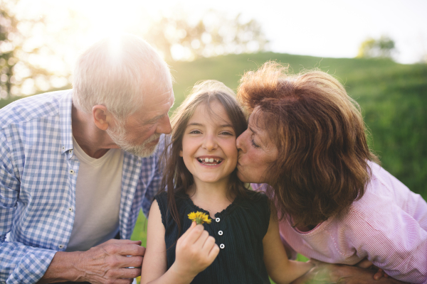 Senior couple with granddaughter outside in spring nature, relaxing on the grass and having fun.