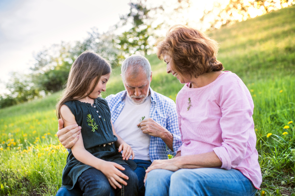 Senior couple with granddaughter outside in spring nature, relaxing on the grass and having fun.