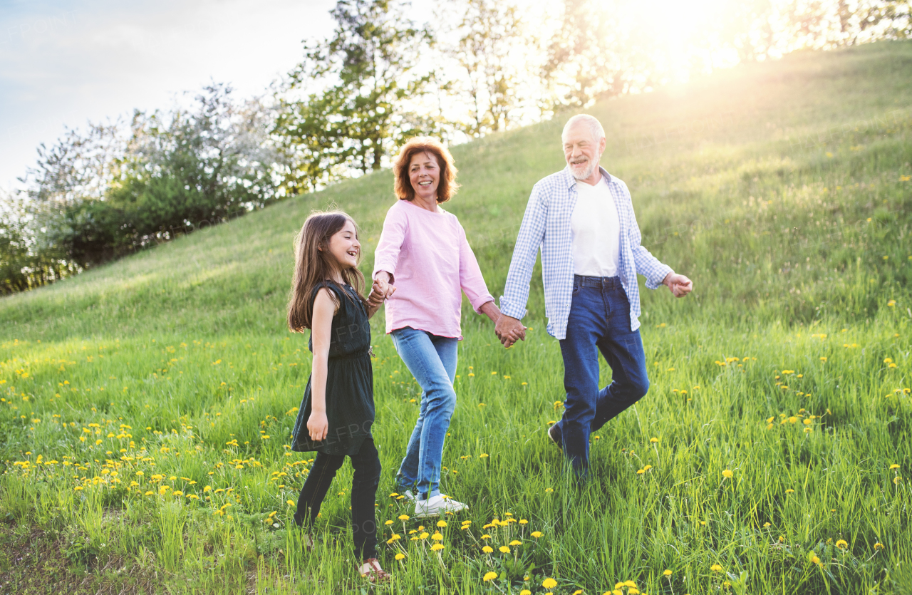 Cheerful senior couple with granddaughter outside in spring nature, walking.