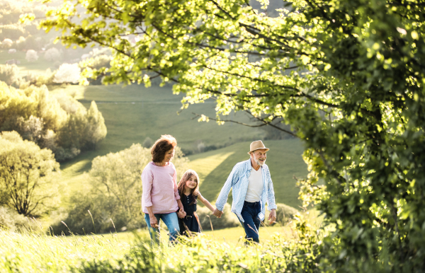 Senior couple with granddaughter walking outside in spring nature. Copy space.