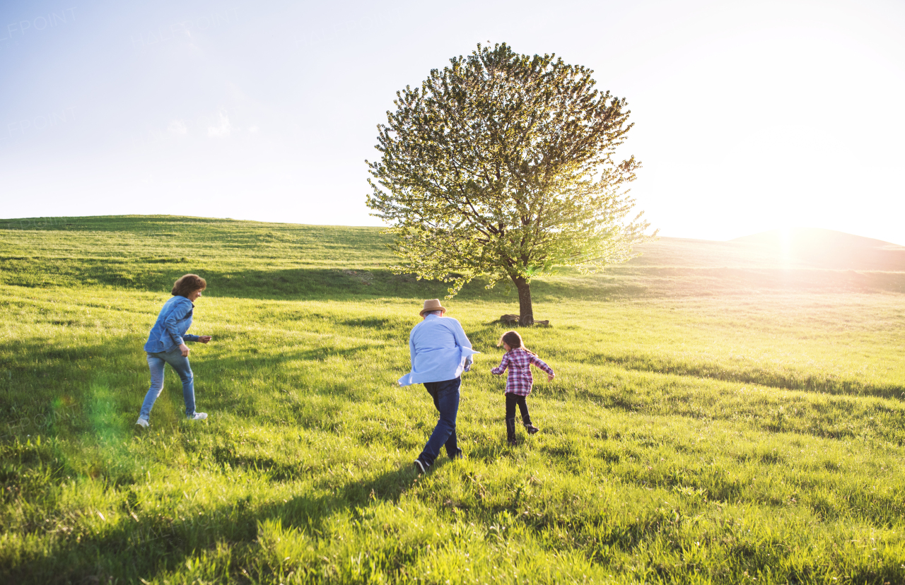 A happy small girl with her senior grandparents playing tag game outside in nature.