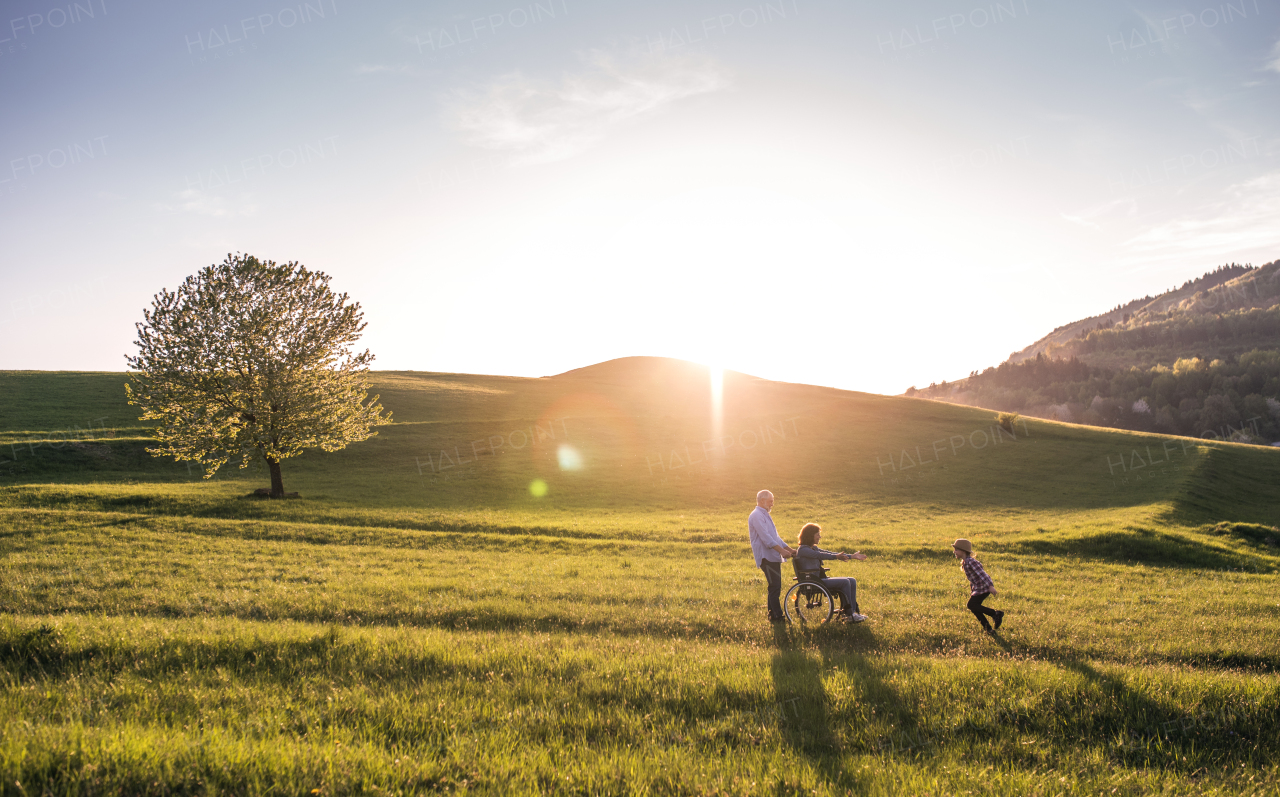 A happy small girl with her senior grandparents with wheelchair having fun outside in nature at sunset.