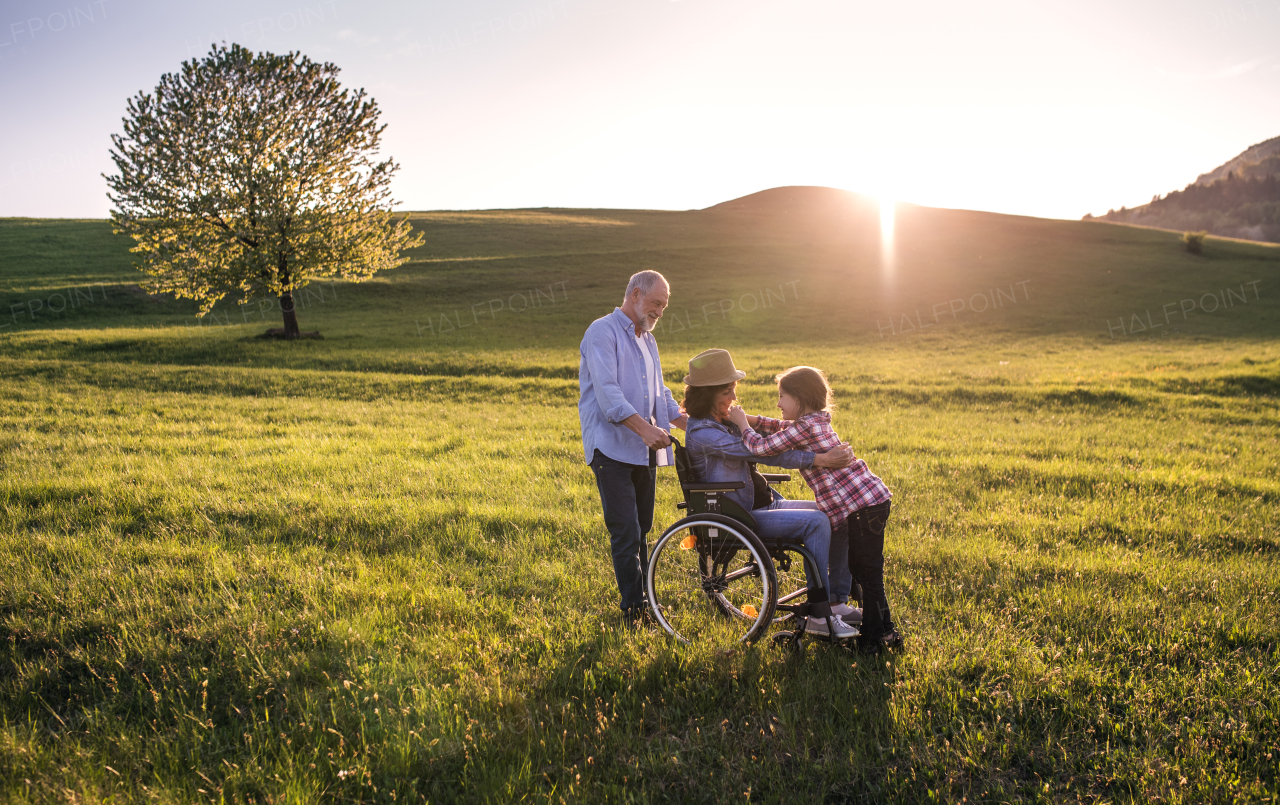 A happy small girl with her senior grandparents with wheelchair on a walk outside in nature at sunset.