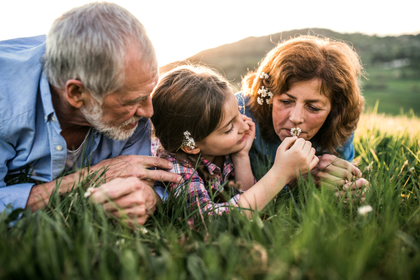 Close-up of a senior couple with granddaughter outside in spring nature, lying on the grass and relaxing.