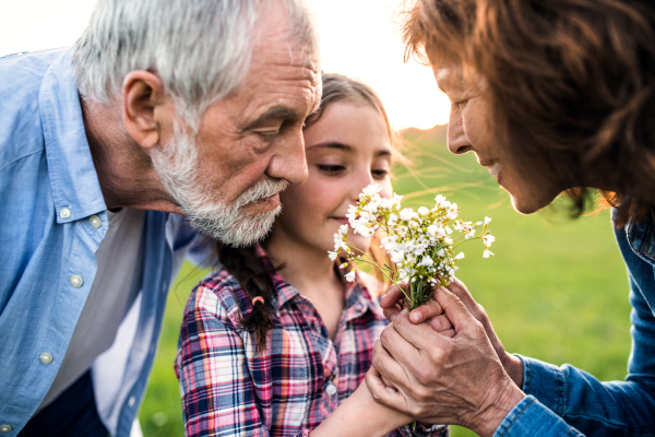 A happy small girl with her senior grandparents smelling flowers outside. Sunset in spring nature. Close up.