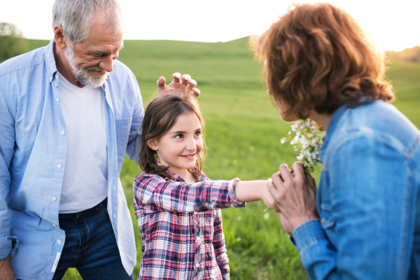 A happy small girl with her senior grandparents having fun outside. Sunset in spring nature.