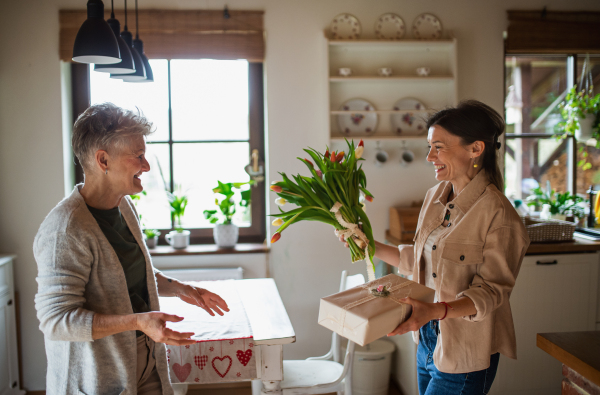 An adult daughter visiting happy senior mother indoors at home, mothers day or birthday celebration.