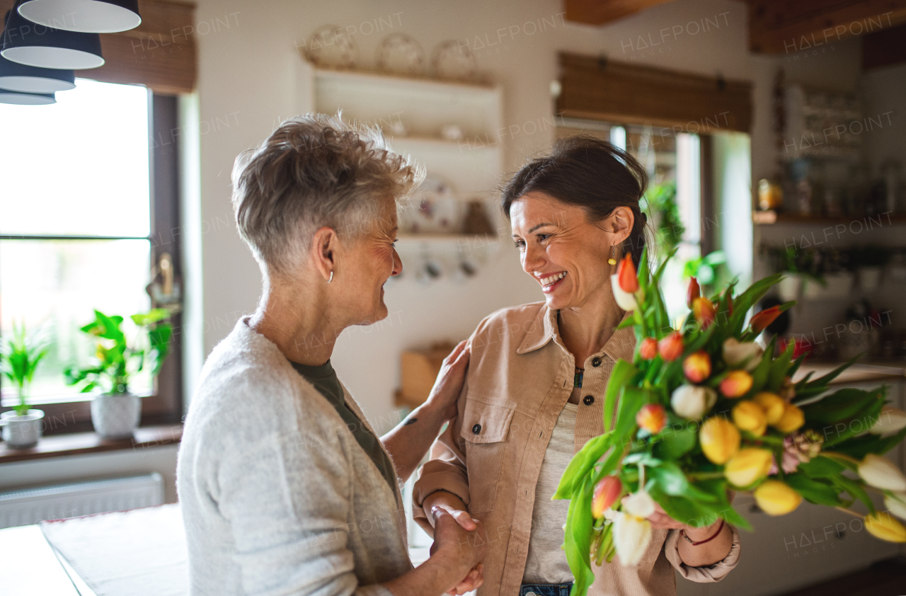 An adult daughter visiting happy senior mother indoors at home, mothers day or birthday celebration.