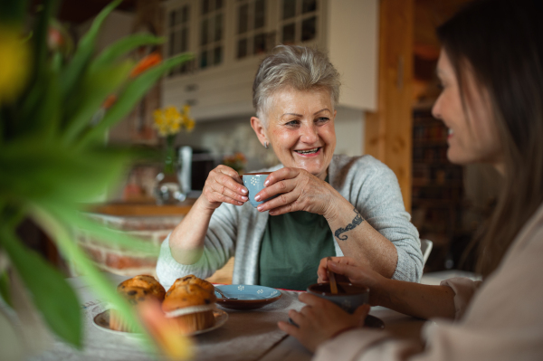 A happy senior mother having tea with adult daughter indoors at home, talking.