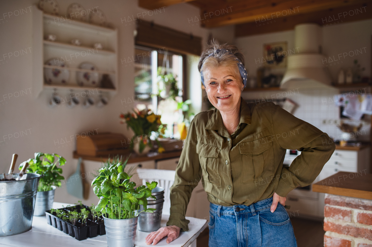 A happy senior woman planting herbs indoors at home, looking at camera.