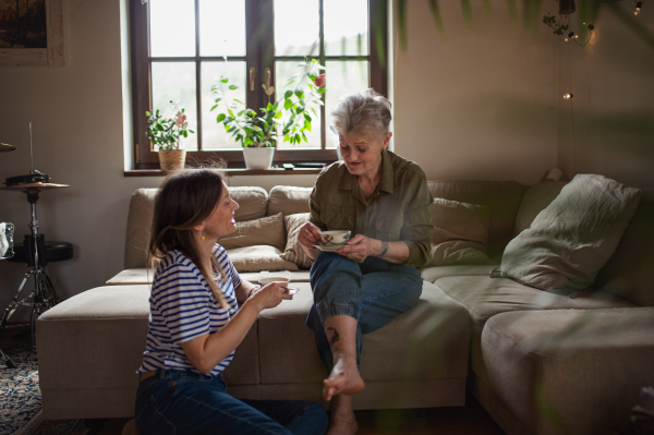 A happy senior mother having tea with adult daughter indoors at home, talking.