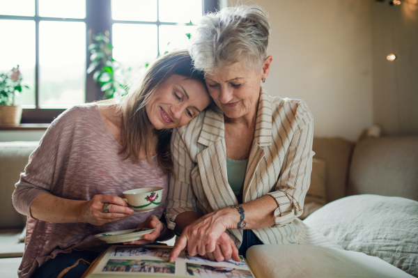 Front view of senior mother with an adult daughter indoors at home, looking at family photographs.