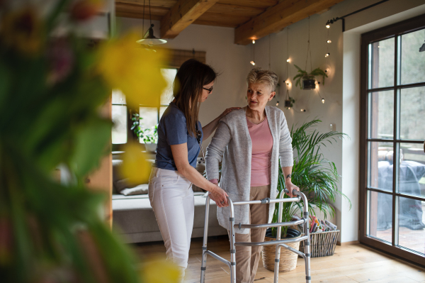 A healthcare worker or caregiver visiting senior woman indoors at home, helping her to walk.